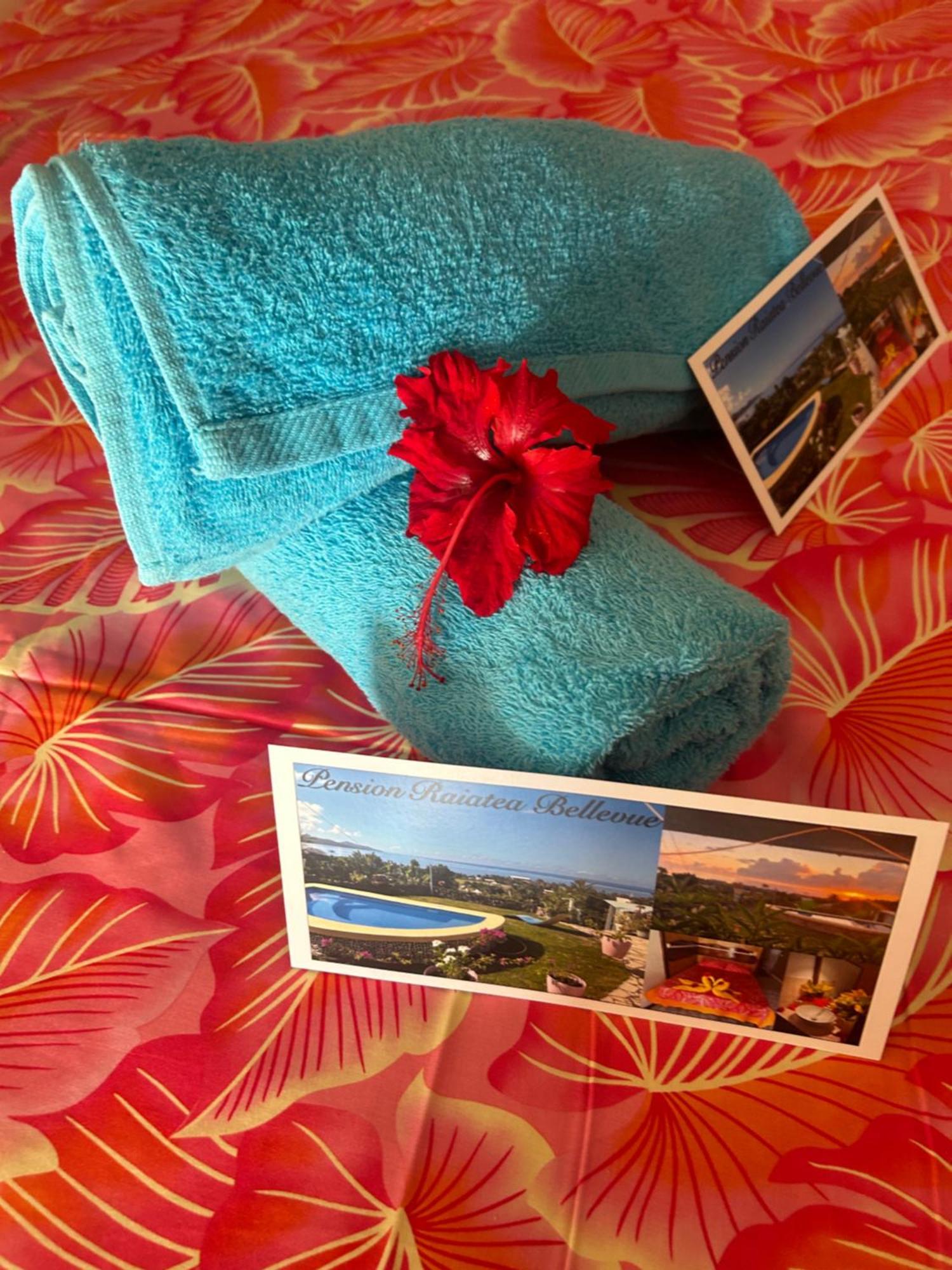 Raiatea Bellevue Hotel Uturoa Buitenkant foto